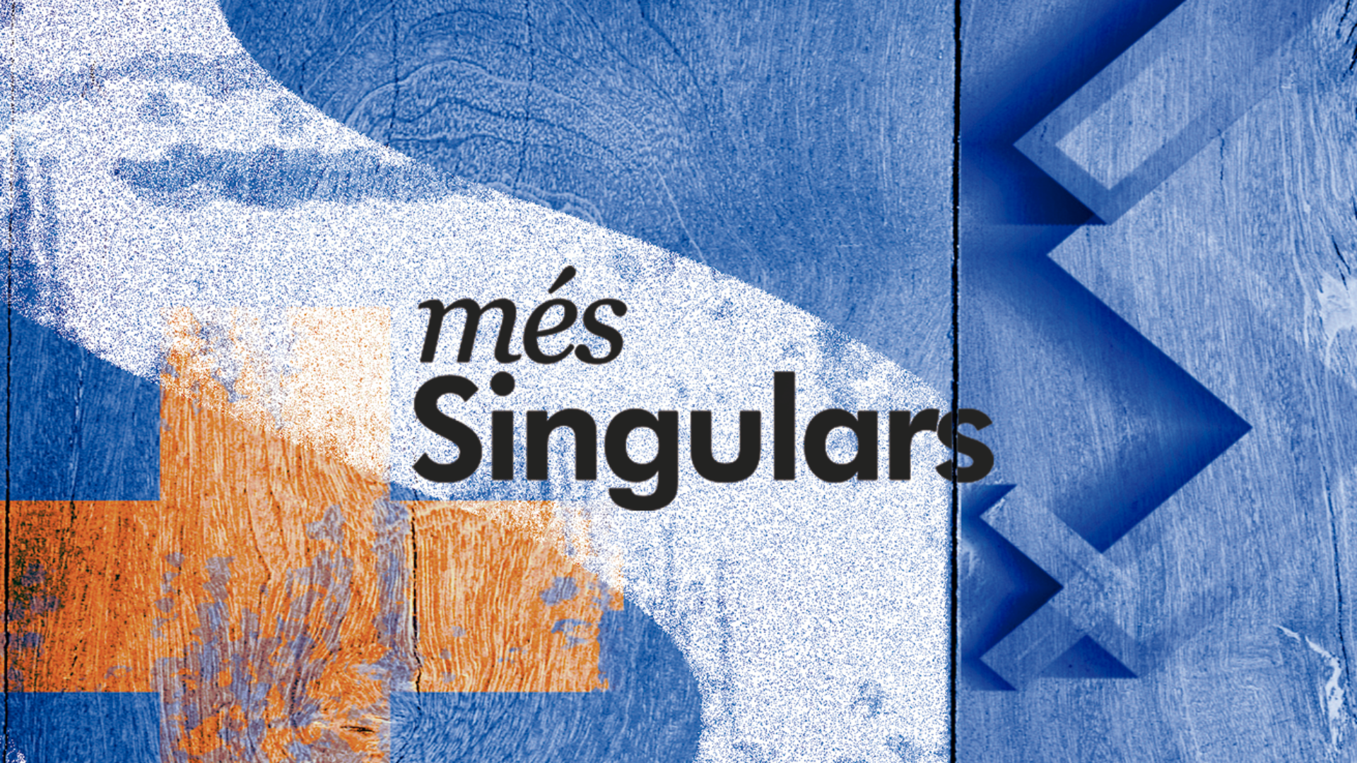 Logo Més Singulars